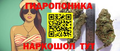 кокс Гагарин