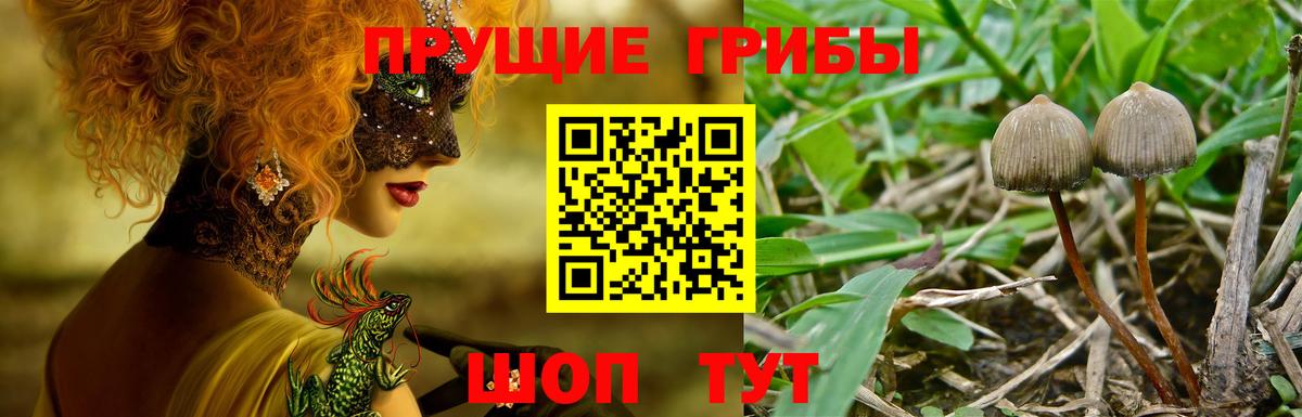 где купить наркоту  Псилоцибиновые грибы прущие грибы  Галлюциногенные грибы Magic Shrooms  Вход с VPN  Жигулёвск 